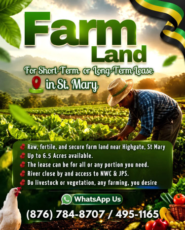 Farmland 