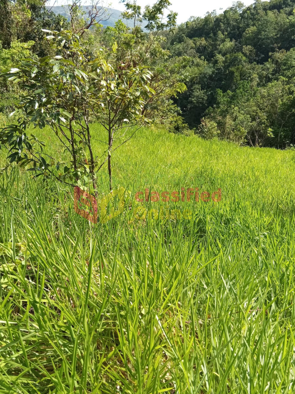 5 Acres Land For Sale