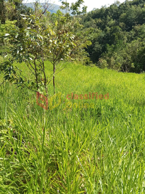 5 Acres Land For Sale