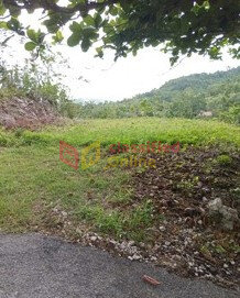 1/3 Acres Land With View