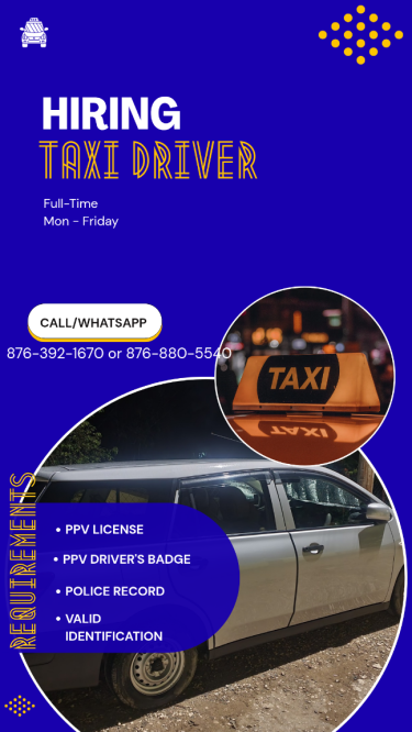 Taxi Operator 
