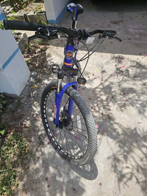 VIPER MAX BICYCLE
