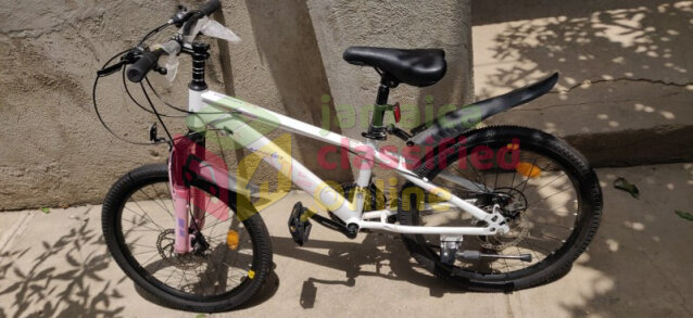 10 SPEED YOUNG ADULT BICYCLE FOR SALE