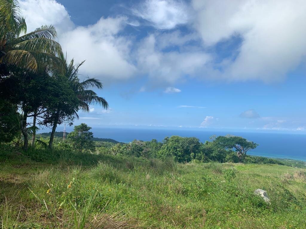 Land For Sale| Richmond Sam Clark, St. Ann