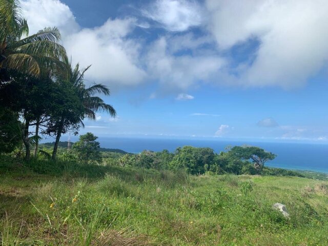 202 ACRES - MOUNT ZION/RICHMOND, ST. ANN