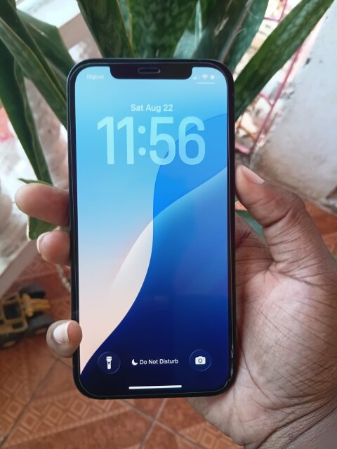 IPhone 12