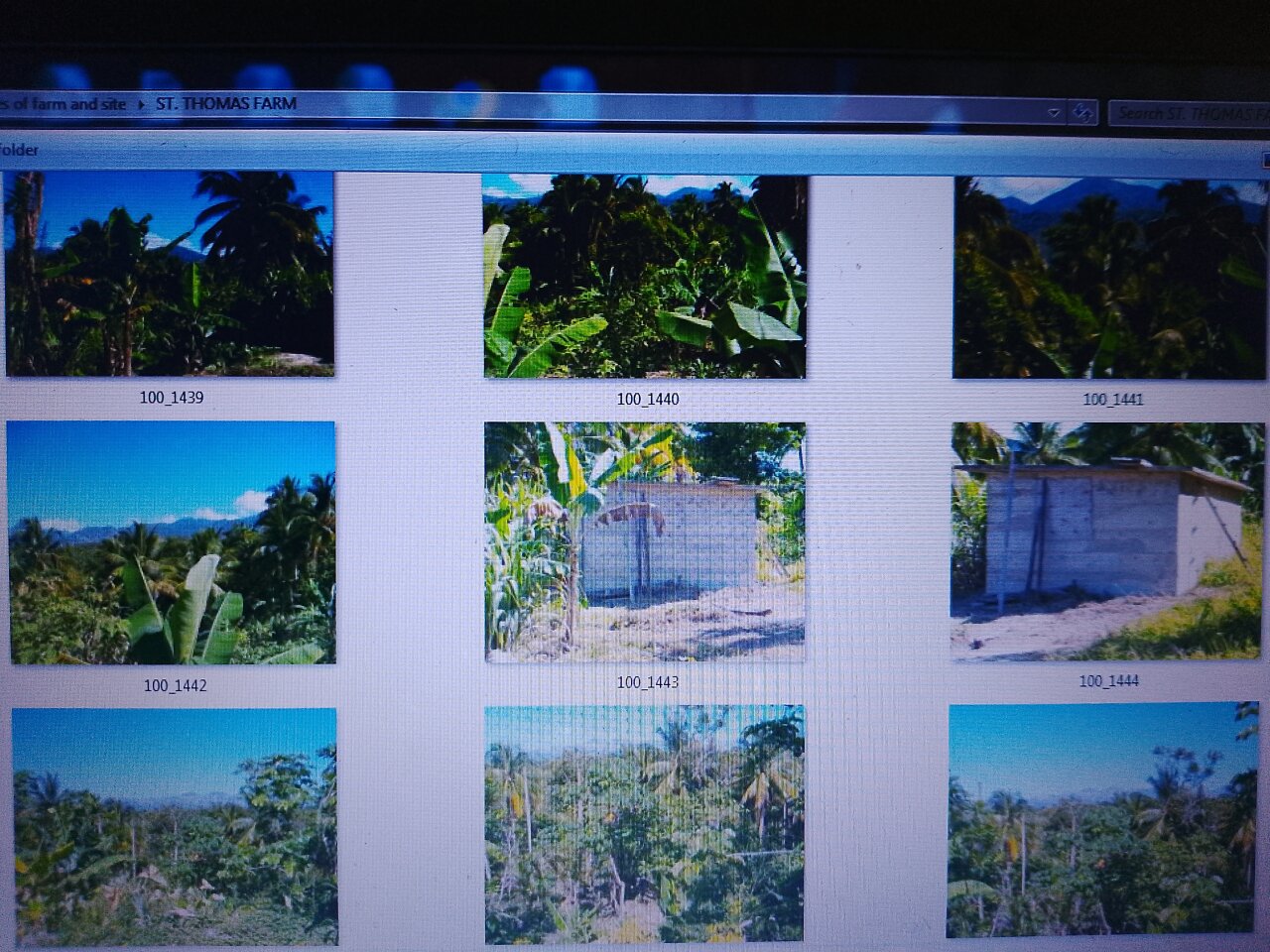 4 Acres Of Land
