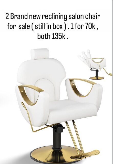 Reclining Salon Chairs