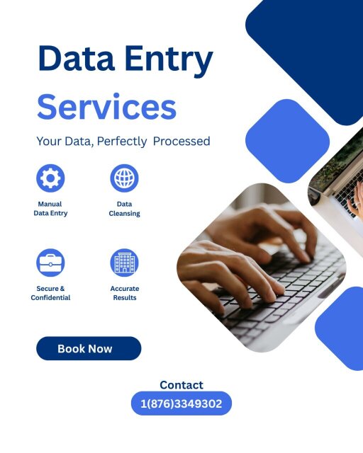Remote Data Entry Service