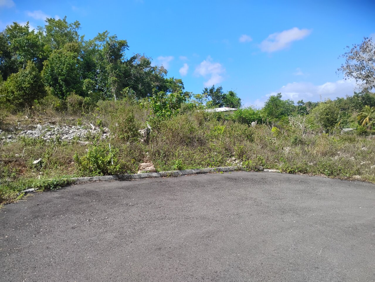 3 Separate Half Acre Lots