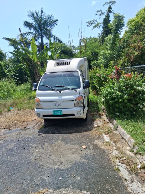 2009 Hyundai Box Body Freezer Truck