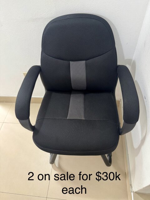 Padded Mesh Office Chair – $30,000 Each