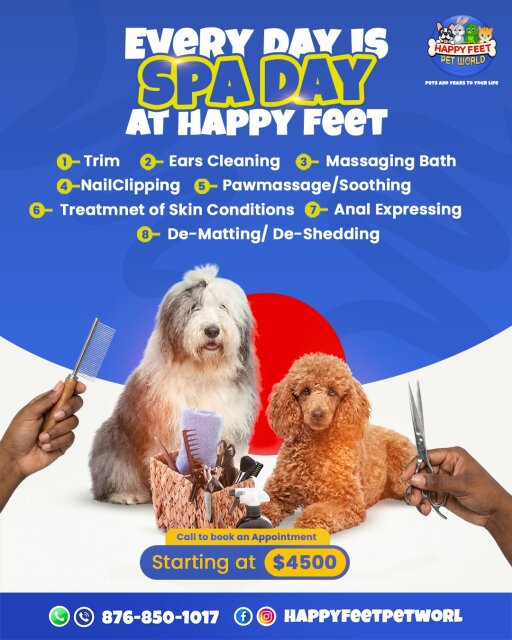 Pet Supplies