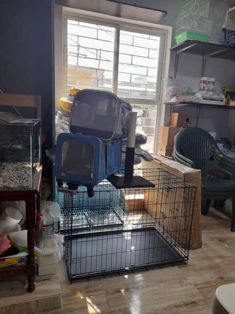 Happy Feet Pet World