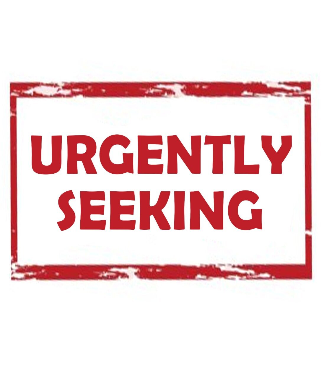 SERIOUS TENANT – Ready To Rent Now!