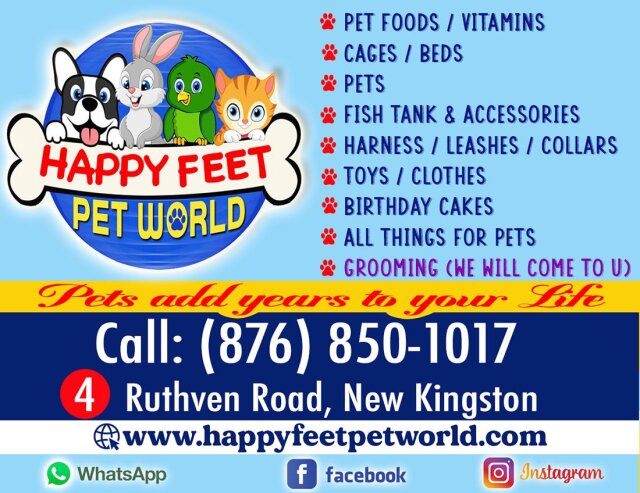 Happy Feet Pet World