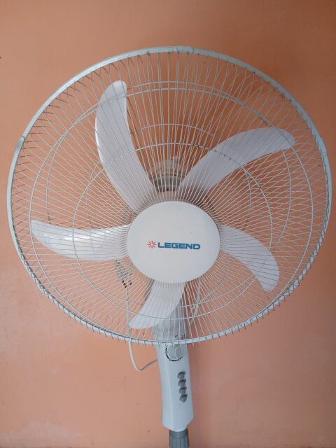 Legend Fan For Sale