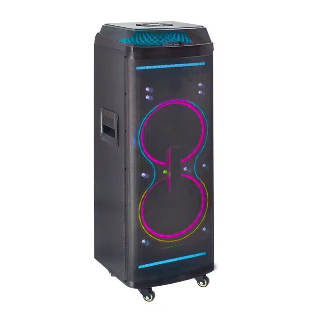 New Portable 100W Dual 10 Inch Party TWS Speakerwi