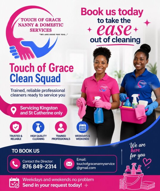 Professional Cleaning Services