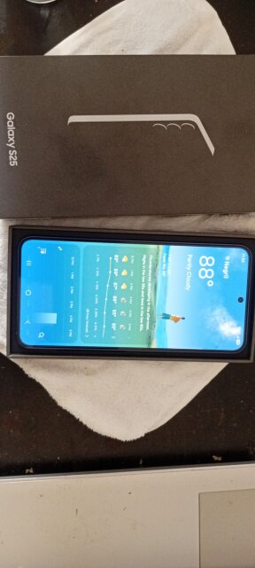 Samsung Galaxy S25 (128gb) 3 S Protector+case
