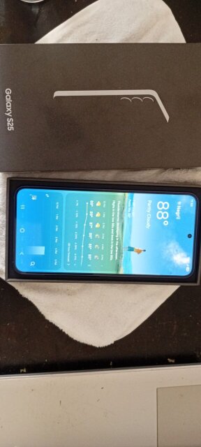 Samsung Galaxy S25 (128gb) 3 S Protector+case