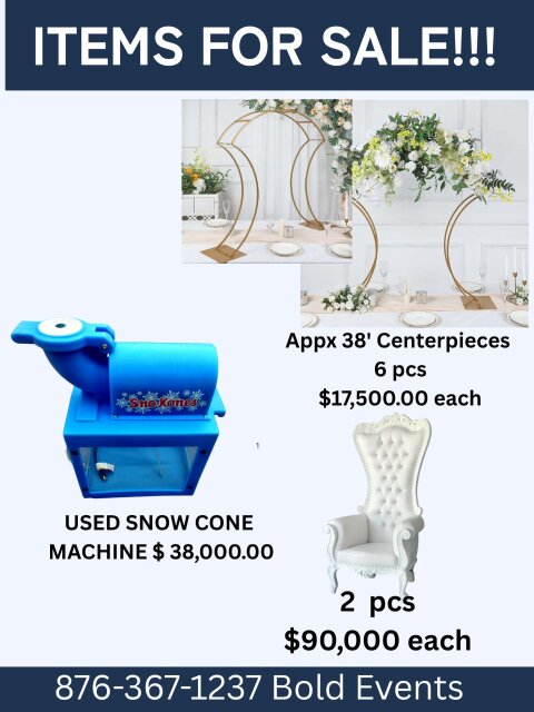 Party Rental Items For Sale