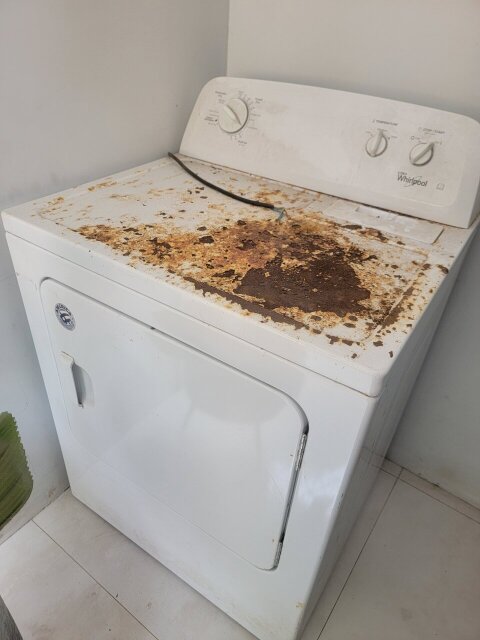 Whirlpool Dryer