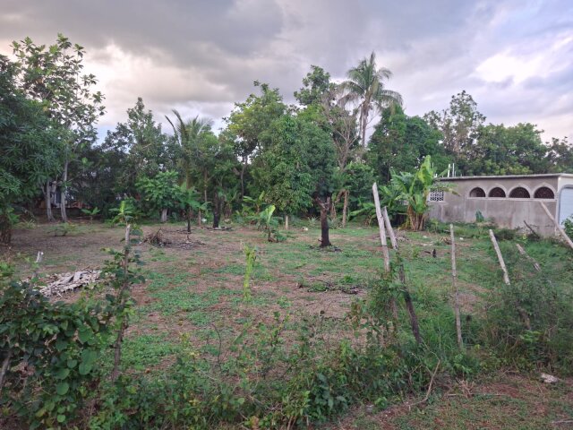 0.25 Acres