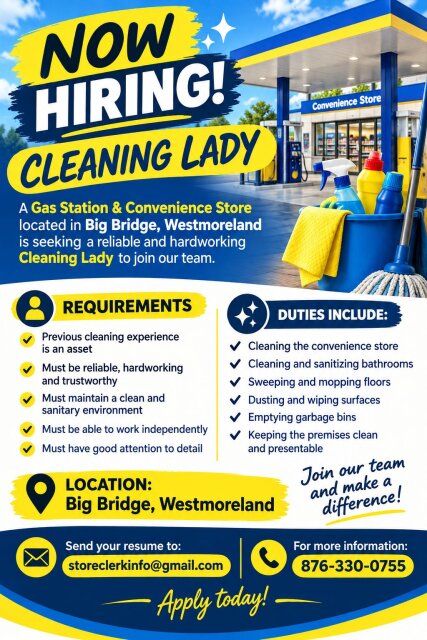 CLEANING LADY NEEDED