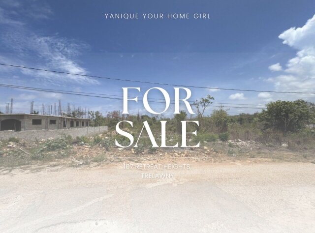 LAND FOR SALE | RETREAT HEIGHTS, TRELAWNY