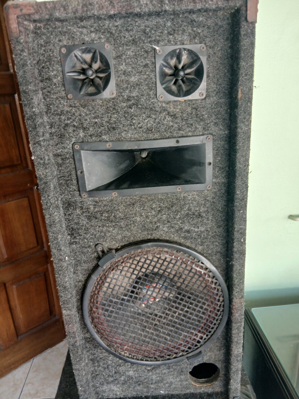 Nippon America Power USA 12 Inch Speakers