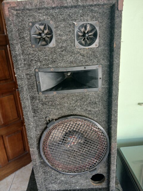 Nippon America Power USA 12 Inch Speakers