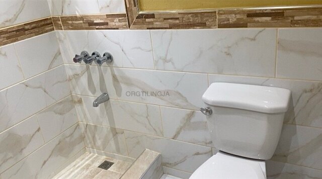 Skilled Tiler