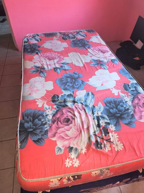 Both Mattress And Bed Bottom Twin Size Single