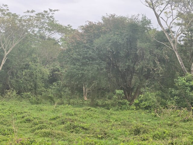 22 Acres Of Land In Amity