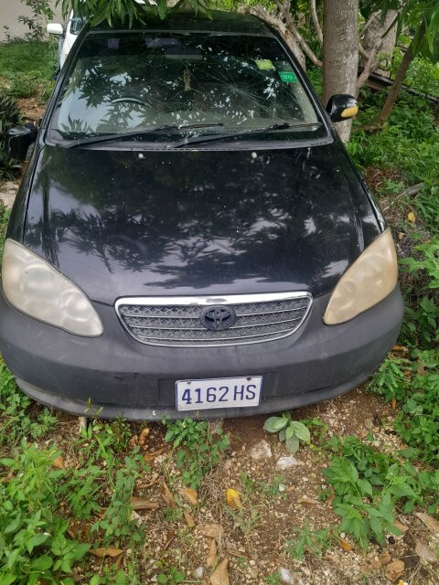2005 Toyota Corolla Altis For Sale In Montego Bay