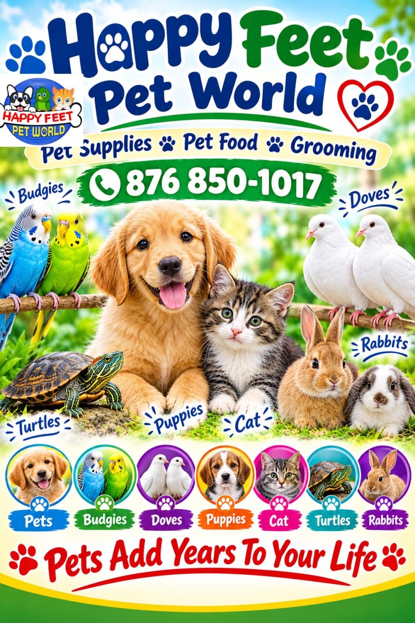 Happy Feet Pet World