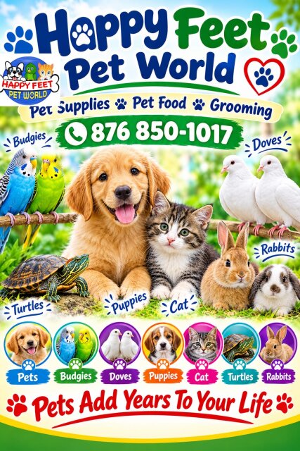 Happy Feet Pet World
