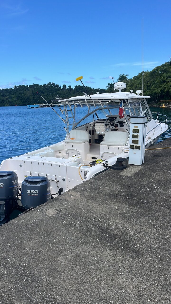 Grady White 330 Express
