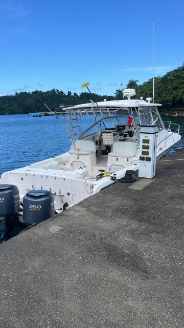 Grady White 330 Express