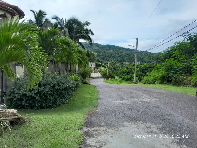 Orchard Gardens Lot For Sale