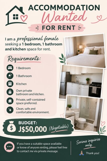 Professional Female Seeking A 1 Bedroom 1 Bathroom