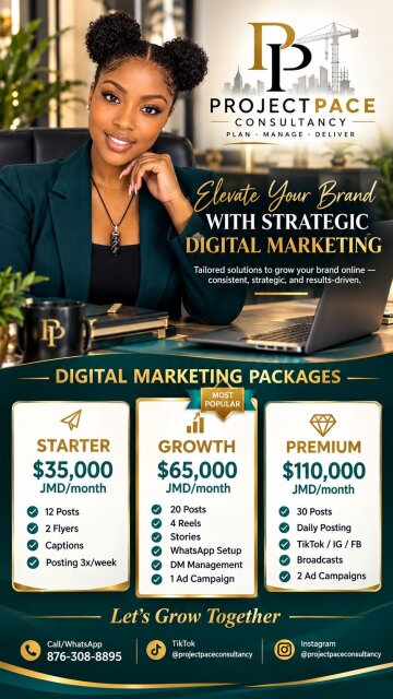 Business Consultant/Digital Marketer/Project Mgnt