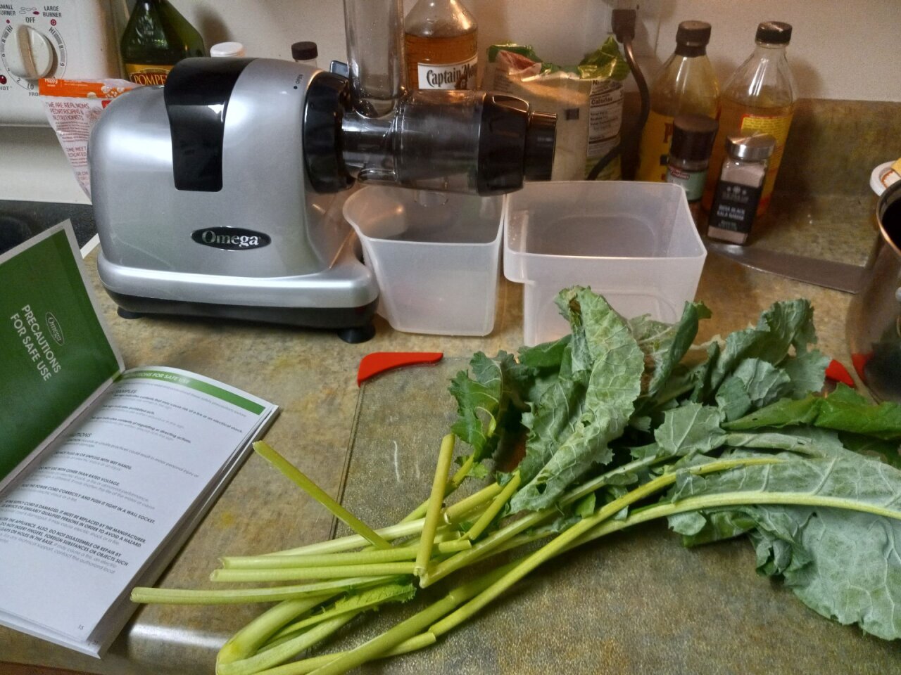 Slow Masticating Omega Juicer. Cold Press Natural