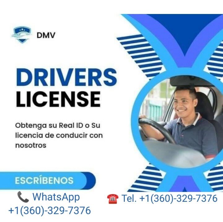 DMV Hond