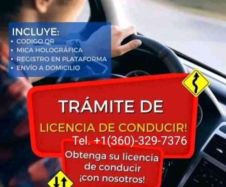 Servicios DMV